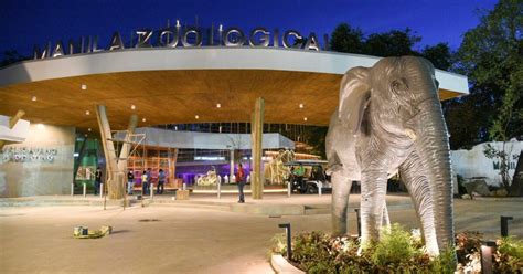 Renovated Manila Zoo set to open on December 30 .